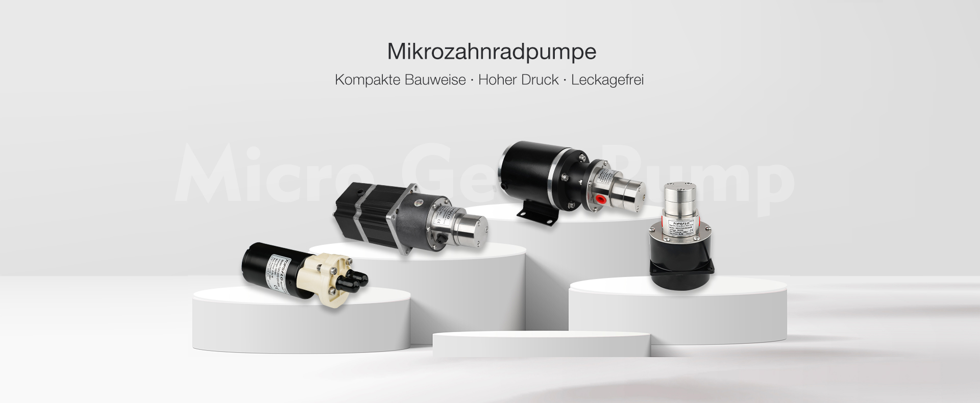 Mikro-Zahnradpumpe